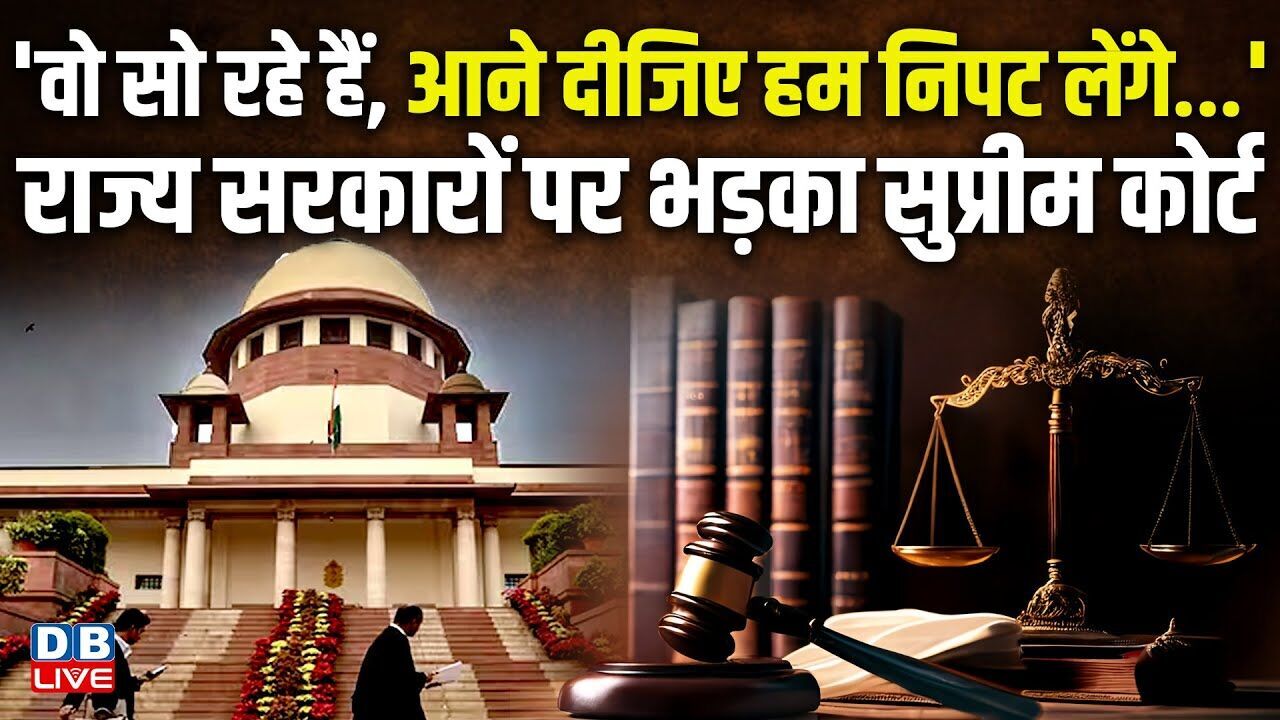वो सो रहे हैं, आने दीजिए हम निपट लेंगे... राज्य सरकारों पर भड़का Supreme Court ! SC On Stray Dog |
