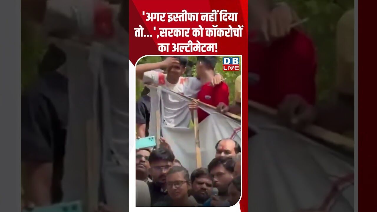अगर इस्तीफा नहीं दिया तो   ,सरकार को कॉकरोचों का अल्टीमेटम! #dblive #breakingnews #shortsvideo