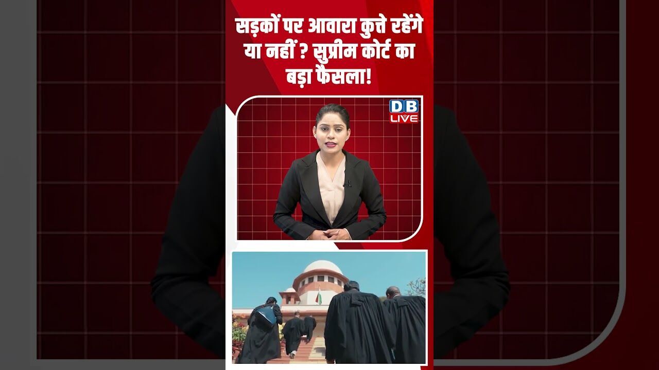सड़कों पर आवारा कुत्ते रहेंगे या नहीं सुप्रीमकोर्ट का बड़ा फैसला! #dblive #breakingnews #shortsvideo