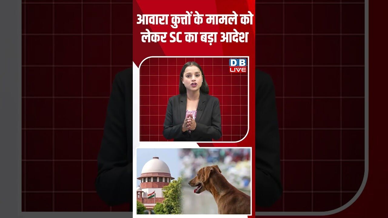 आवारा कुत्तों के मामले को लेकर SC का बड़ा आदेश #dblive #youtubeshorts #shorstvideo #modi #bihar #bjp