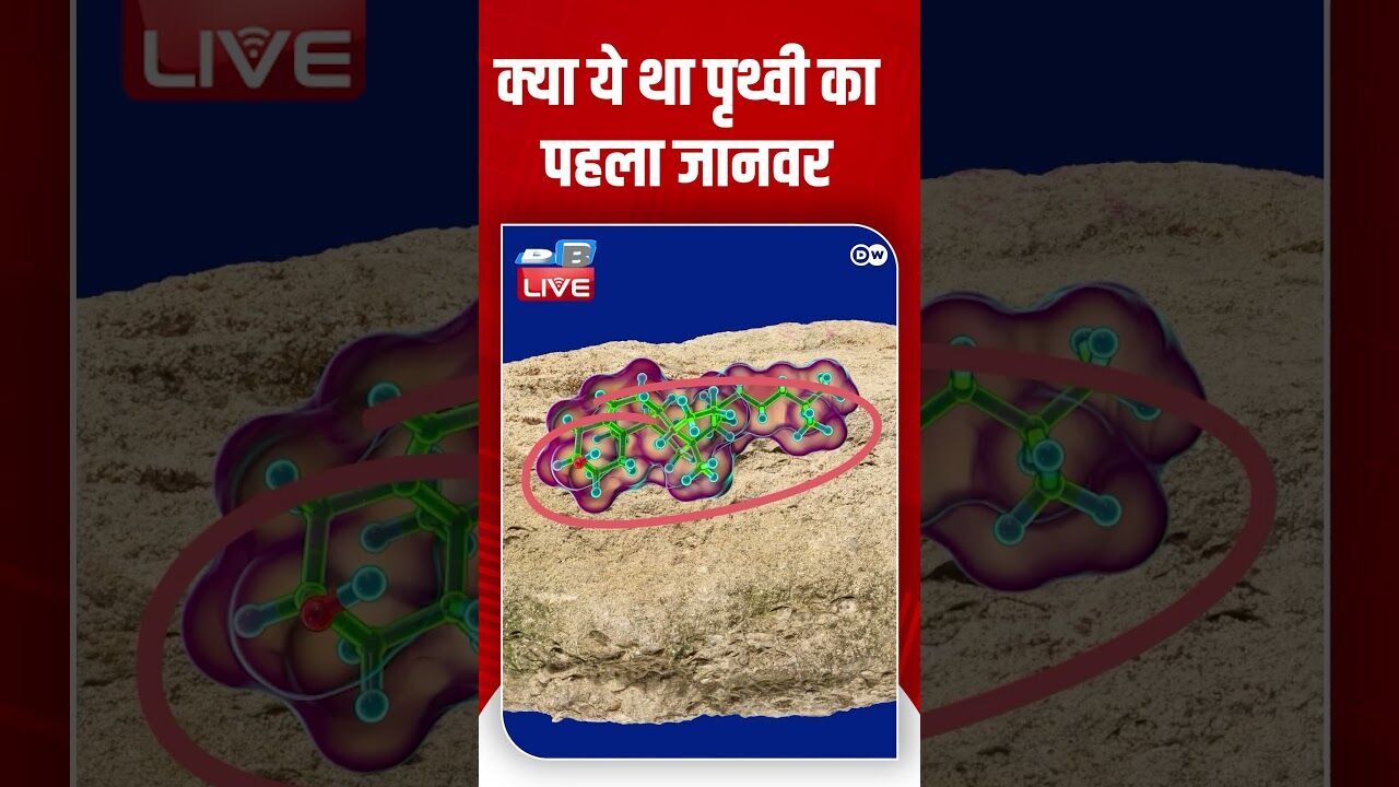 क्या ये था पृथ्वी का पहला जानवर #shorts #youtubeshorts #shorstvideo #shortsfeed #science #viralvideo