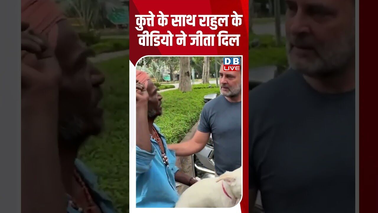 कुत्ते के साथ राहुल के वीडियो ने जीता दिल #dblive #shortvideo #breakingnews #rahulgandhi #bjpnews