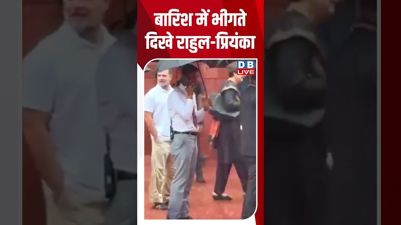 बारिश में भीगते दिखे राहुल प्रियंका #dblive #shortvideo #rahulgandhi #congressnews #pmmodi