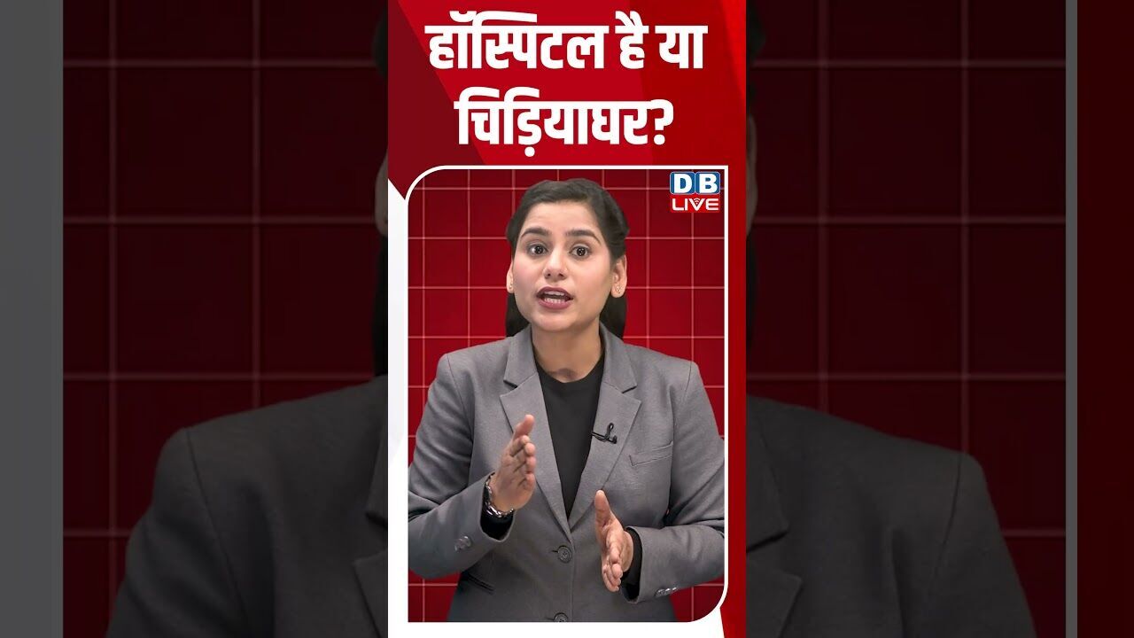 हॉस्पिटल है या चिड़ियाघर #dblive #shortsvideo #youtubeshorts #breakingnews #news #video #modi #rahul