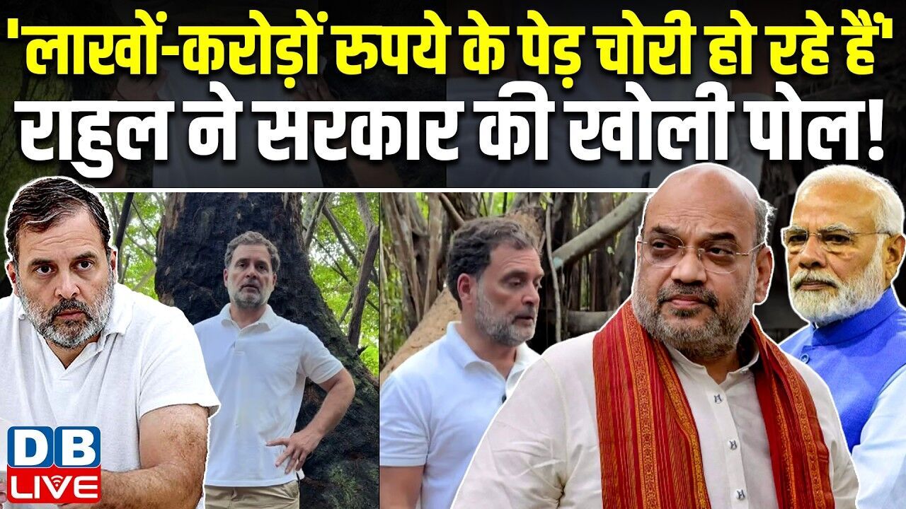 लाखों-करोड़ों रुपये के पेड़ चोरी हो रहे हैं Rahul Gandhi ने सरकार की खोली पोल ! Congress |#dblive