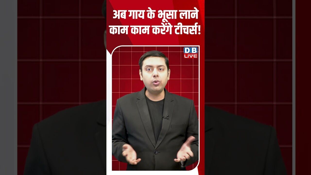 अब गाय के भूसा लाने काम काम करेंगे टीचर्स! #dblive #breakingnews #shortsvideo #latestnews #news #bjp