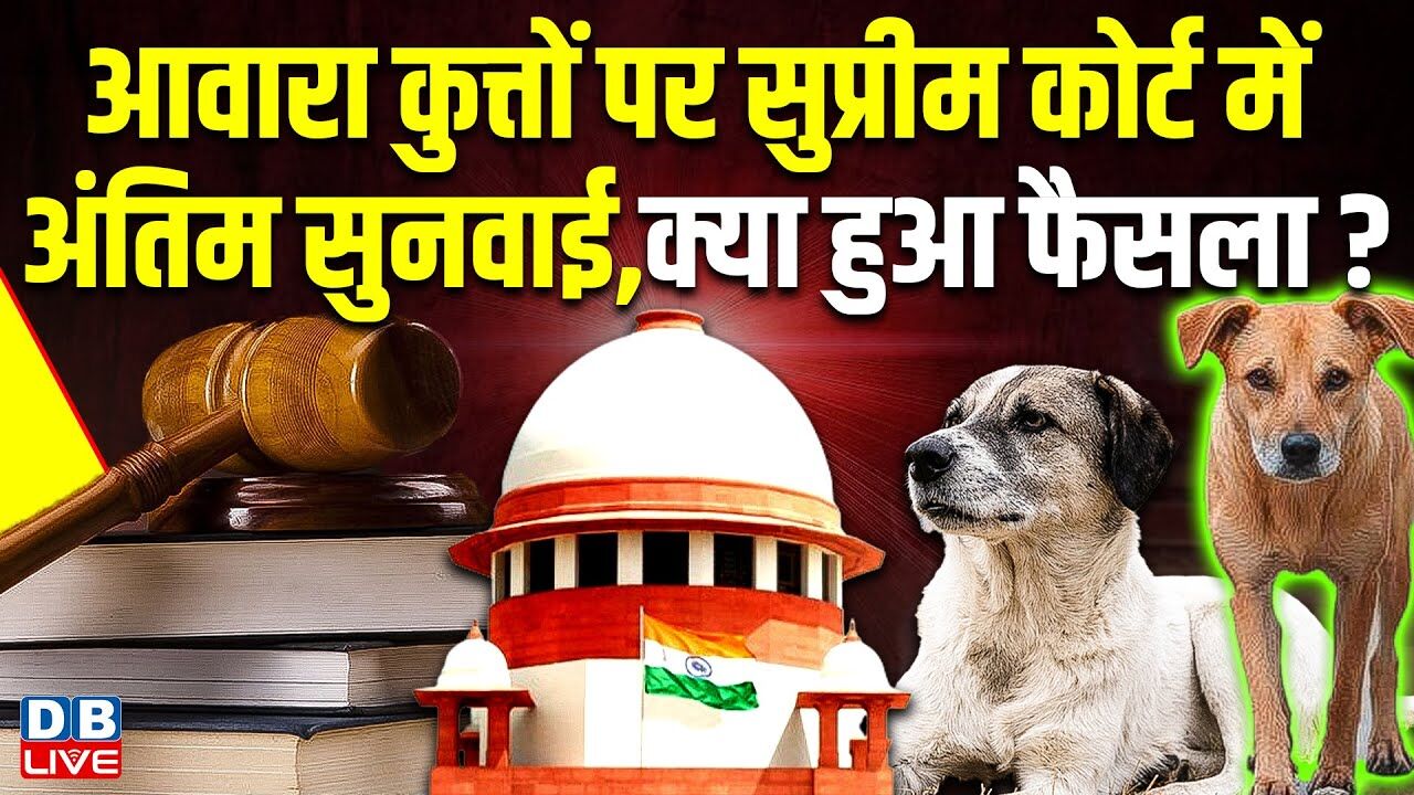 आवारा कुत्तों पर Supreme Court में अंतिम सुनवाई, क्या हुआ फैसला ? Stray Dogs | #dblive